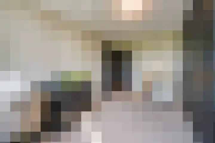 Koolhovenlaan 11 Den Haag thumbnail 29