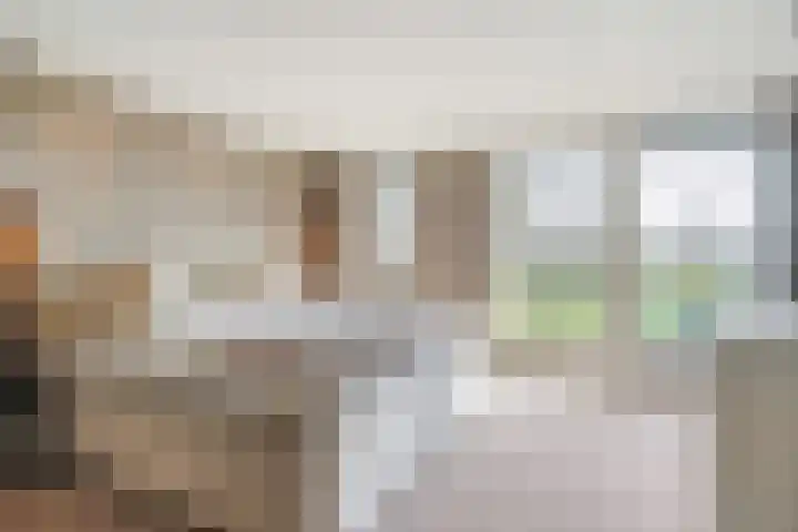Koolhovenlaan 11 Den Haag thumbnail 33