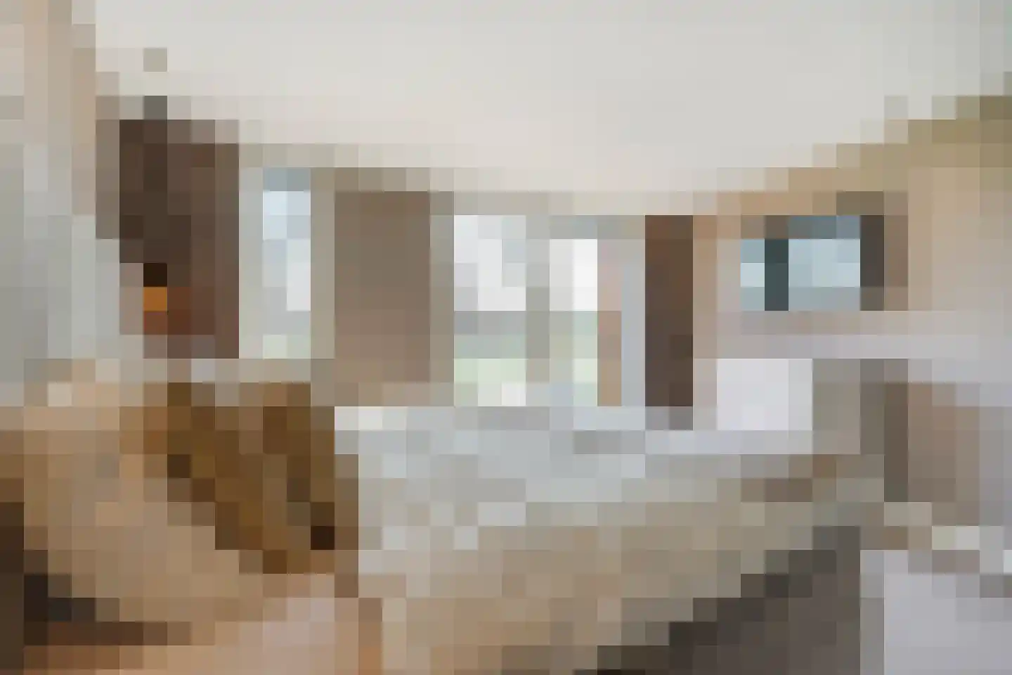 Koolhovenlaan 11 Den Haag thumbnail 34