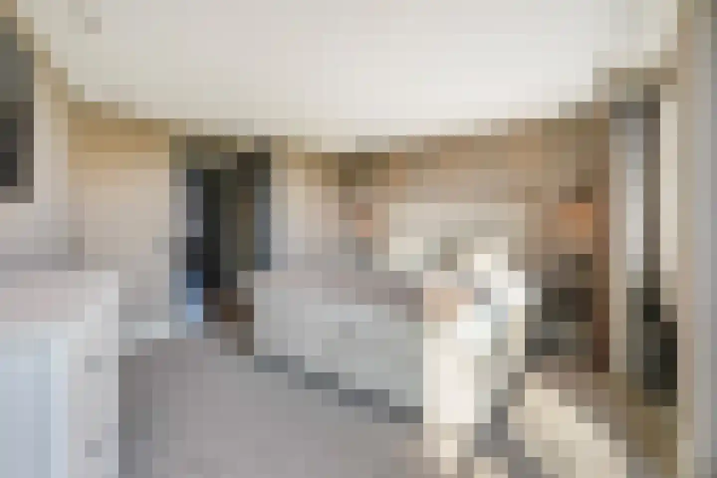 Koolhovenlaan 11 Den Haag thumbnail 35