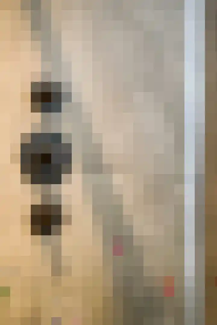 Koolhovenlaan 11 Den Haag thumbnail 36
