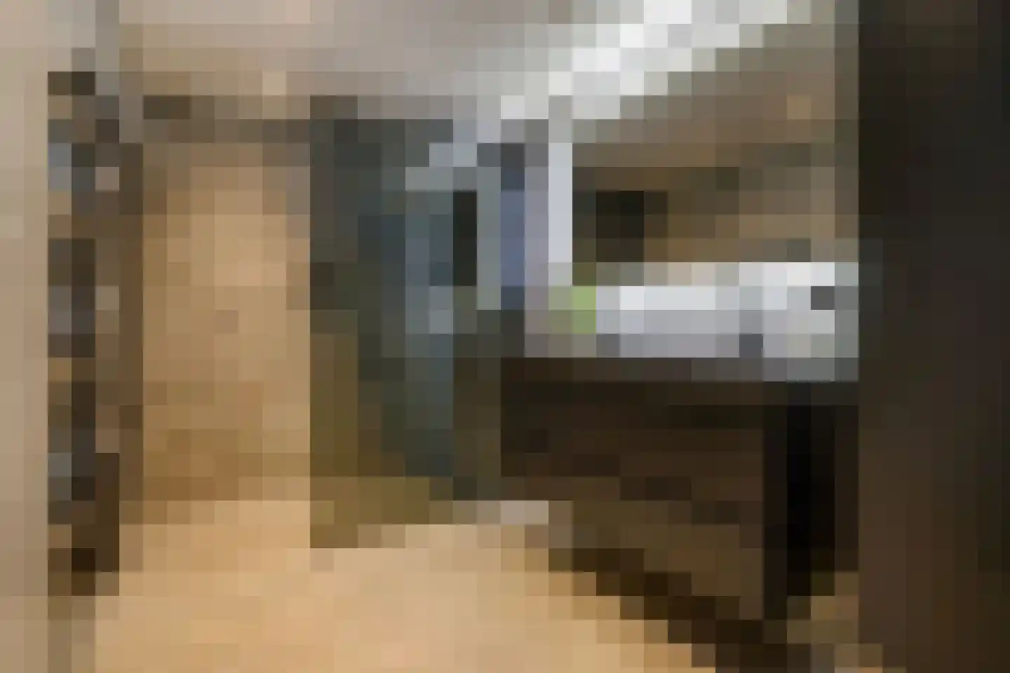 Koolhovenlaan 11 Den Haag thumbnail 5