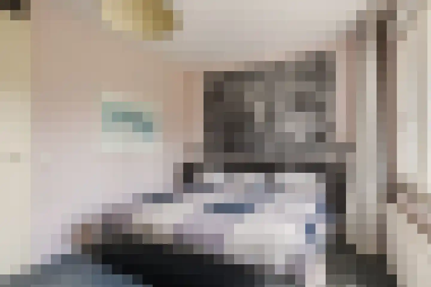 Koolhovenlaan 113 Tilburg thumbnail 16
