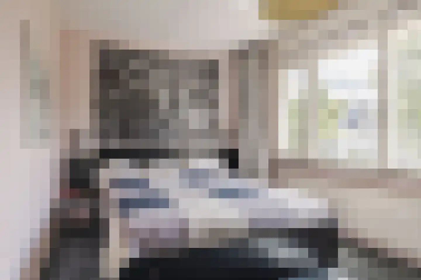 Koolhovenlaan 113 Tilburg thumbnail 17