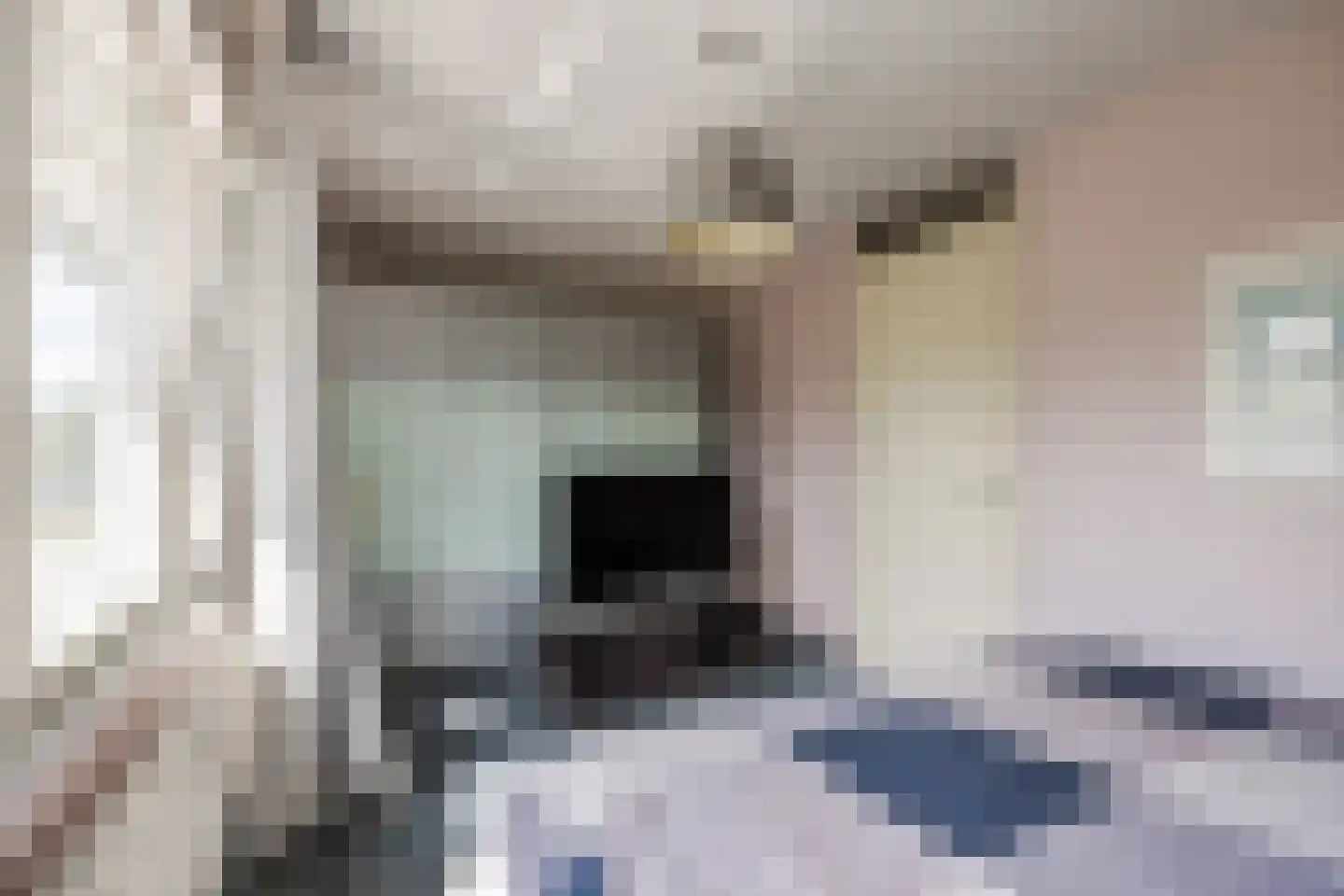 Koolhovenlaan 113 Tilburg thumbnail 18