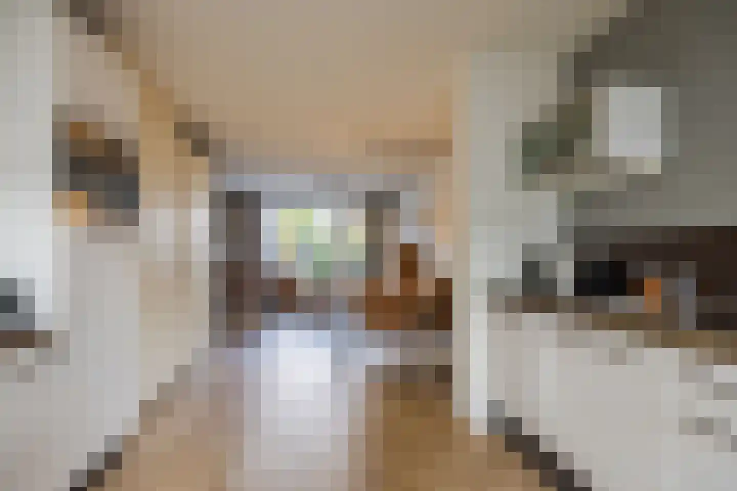 Koolhovenlaan 113 Tilburg thumbnail 5