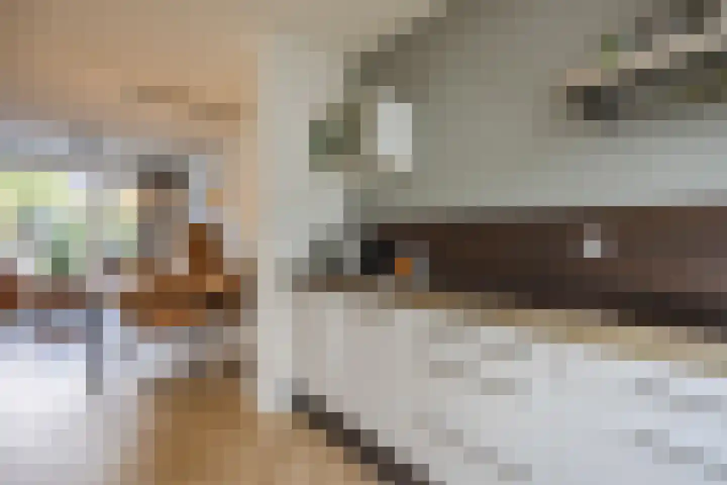Koolhovenlaan 113 Tilburg thumbnail 6