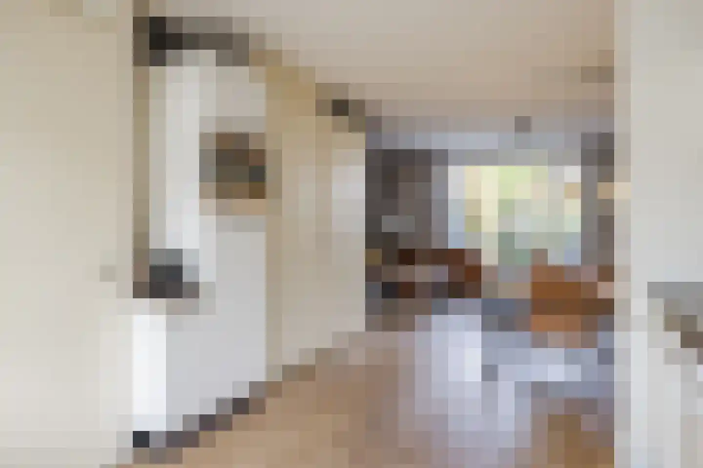 Koolhovenlaan 113 Tilburg thumbnail 7