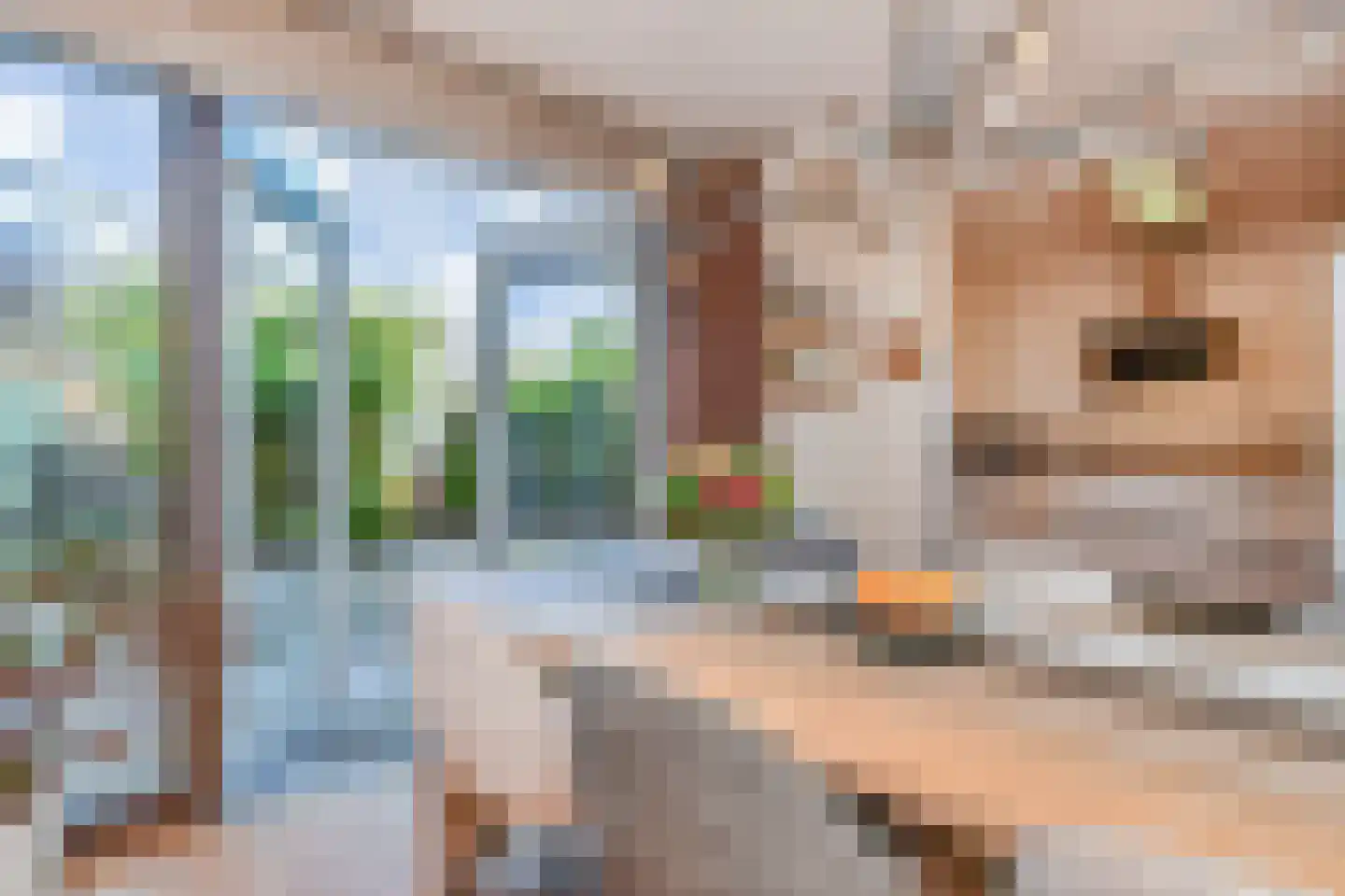Koolhovenlaan 15 Den Haag thumbnail 16