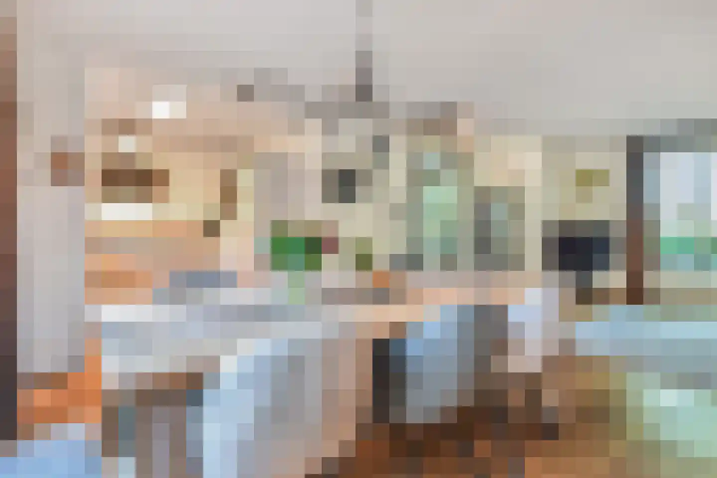 Koolhovenlaan 15 Den Haag thumbnail 21