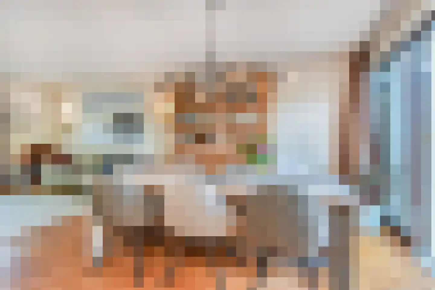 Koolhovenlaan 15 Den Haag thumbnail 22