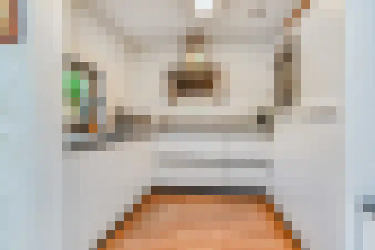 Koolhovenlaan 15 Den Haag thumbnail 23