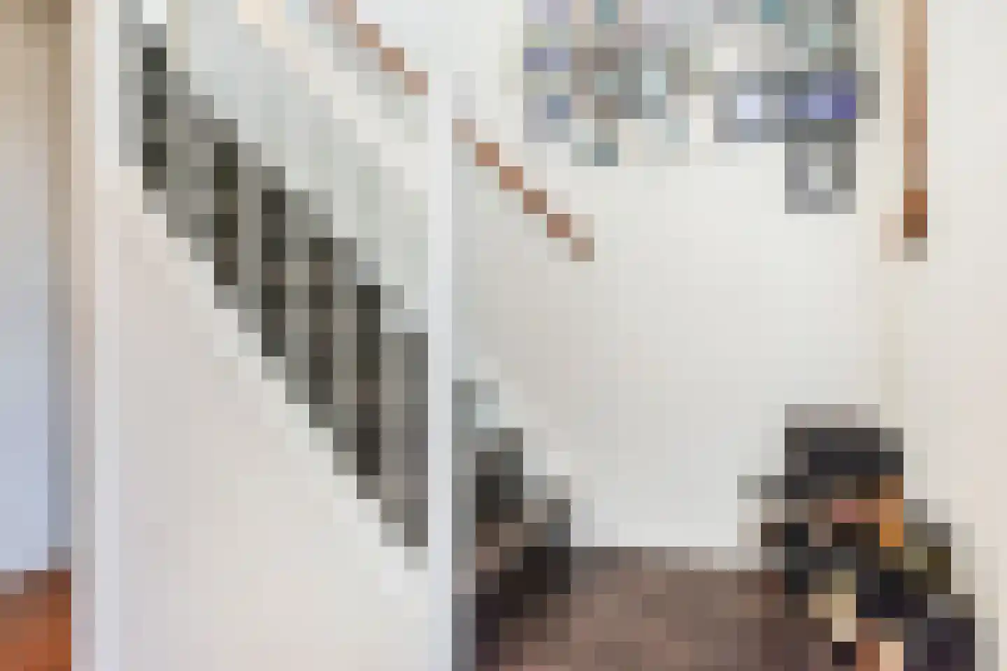 Koolhovenlaan 15 Den Haag thumbnail 25