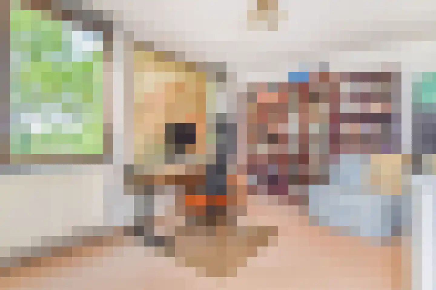 Koolhovenlaan 15 Den Haag thumbnail 41