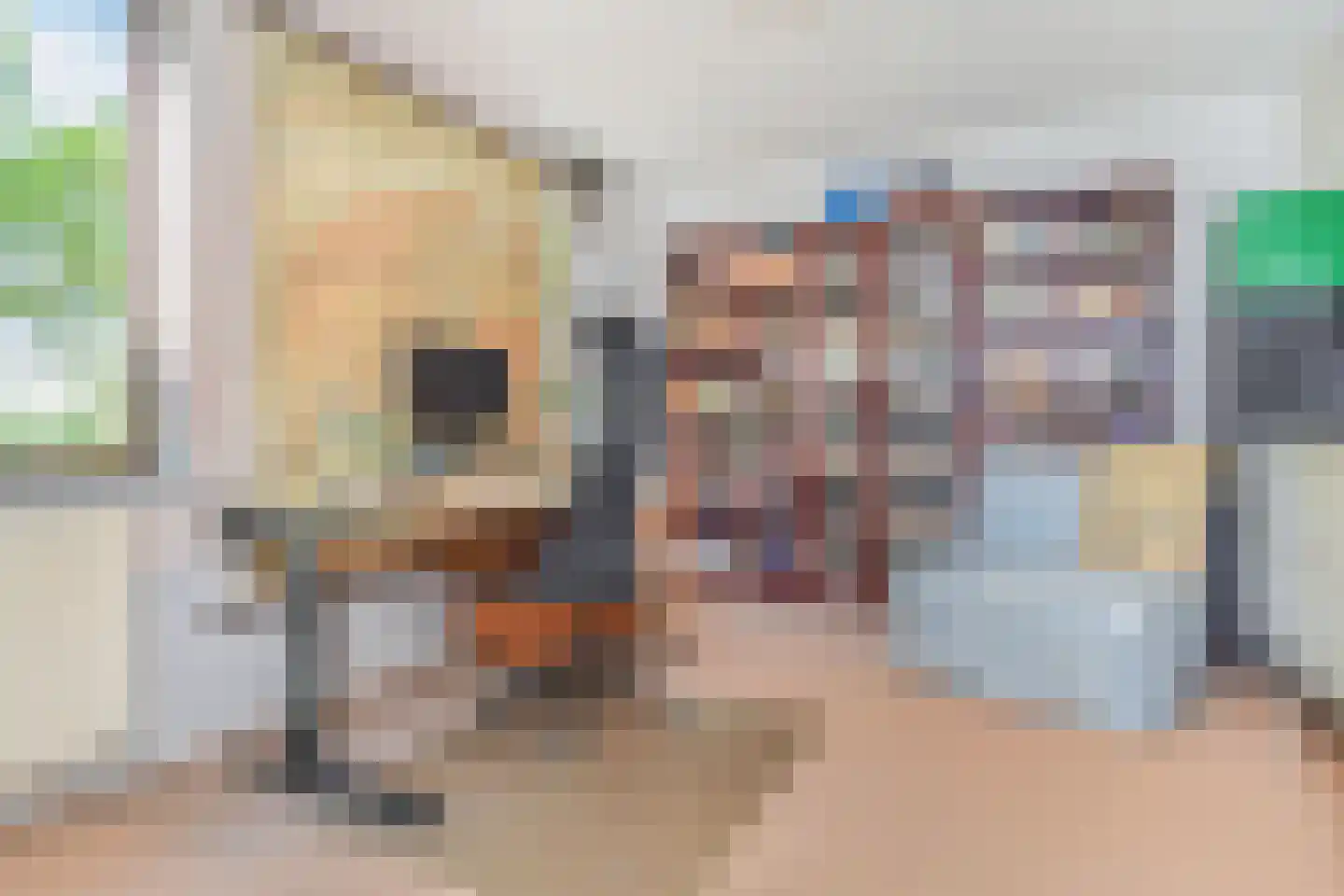 Koolhovenlaan 15 Den Haag thumbnail 42