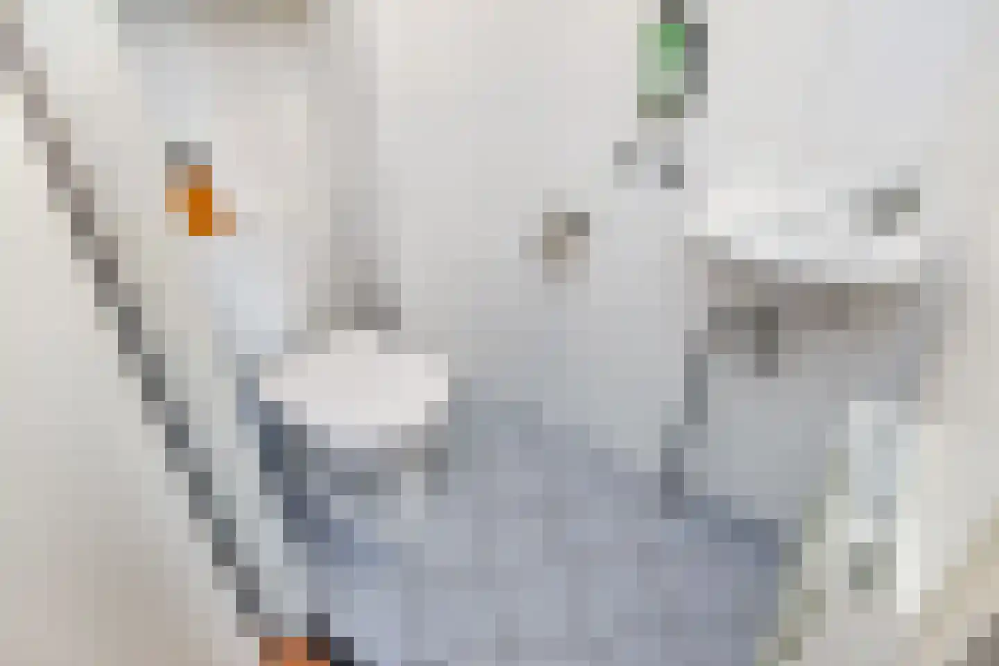 Koolhovenlaan 15 Den Haag thumbnail 9
