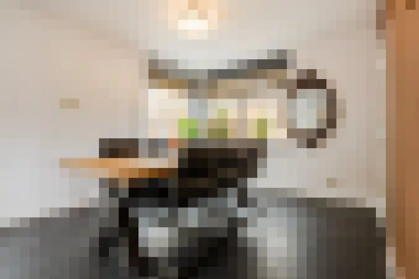 Koolhovenlaan 2 a Tilburg thumbnail 10