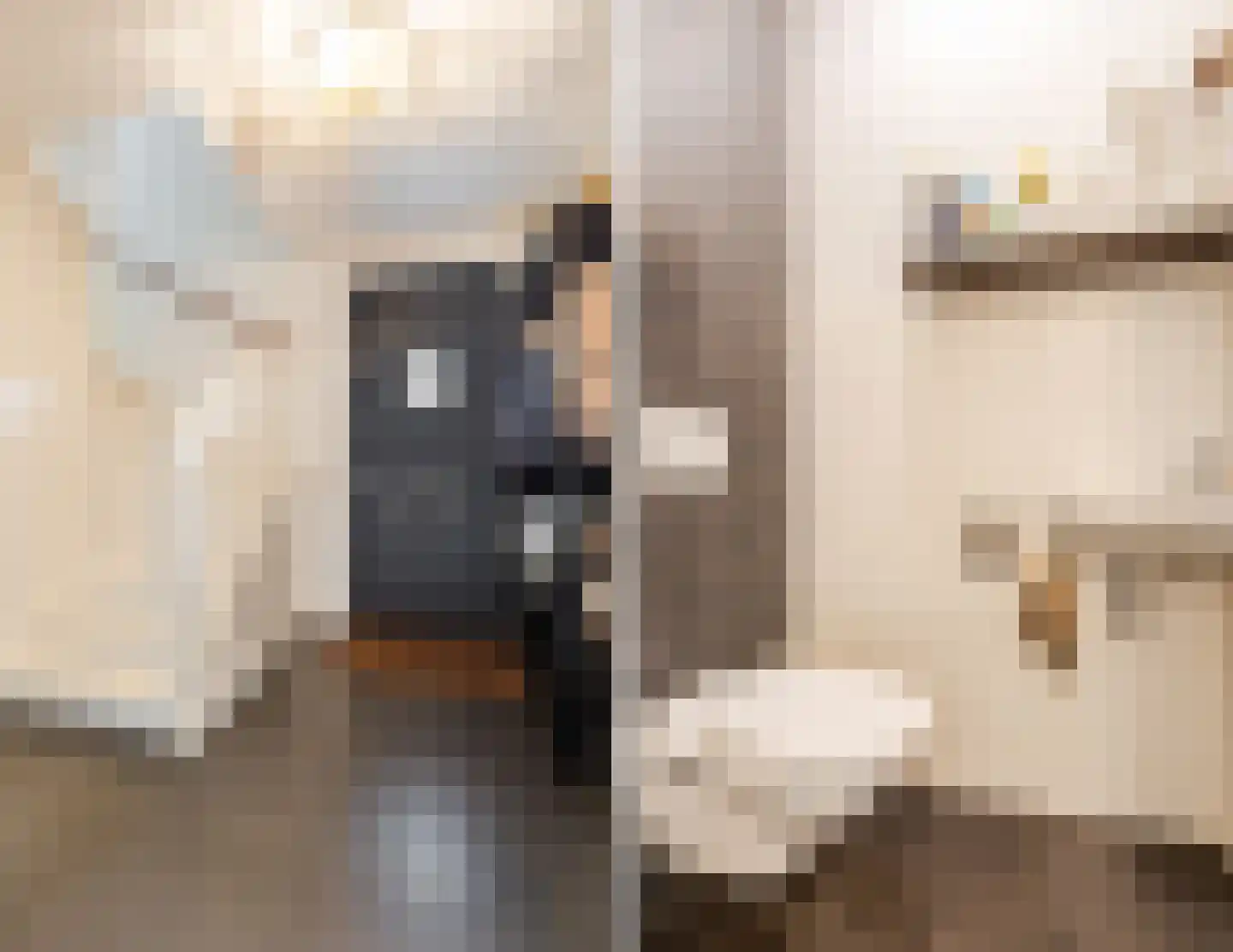 Koolhovenlaan 2 a Tilburg thumbnail 12