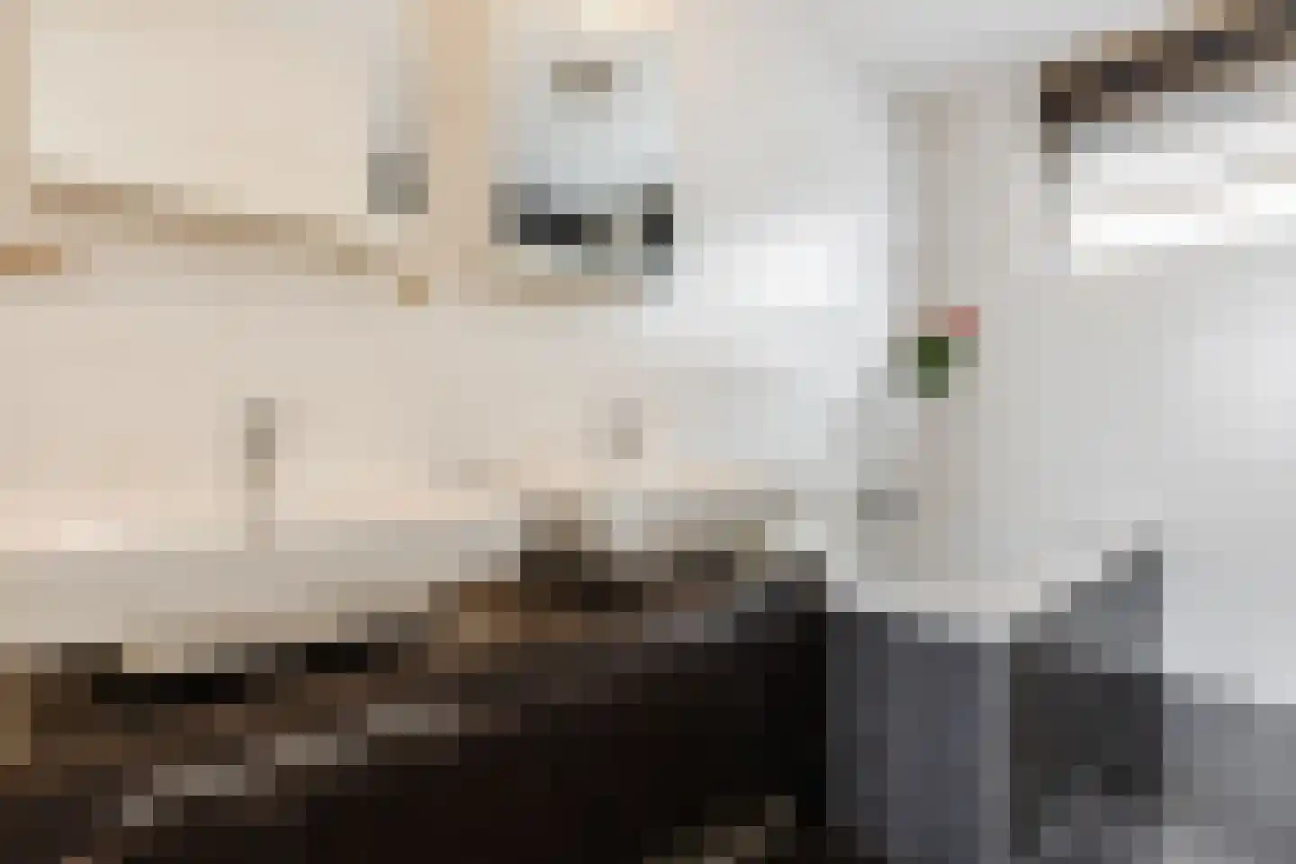 Koolhovenlaan 2 a Tilburg thumbnail 18