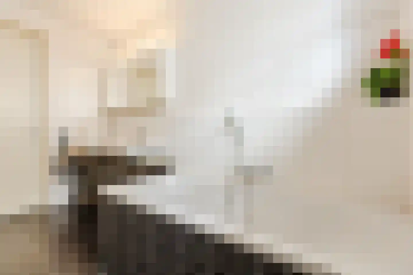 Koolhovenlaan 2 a Tilburg thumbnail 19