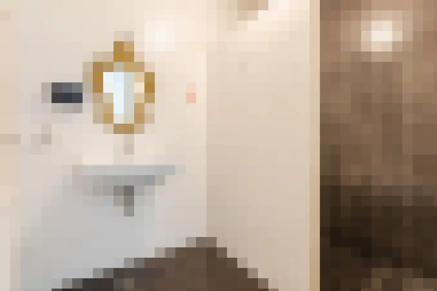 Koolhovenlaan 2 a Tilburg thumbnail 26