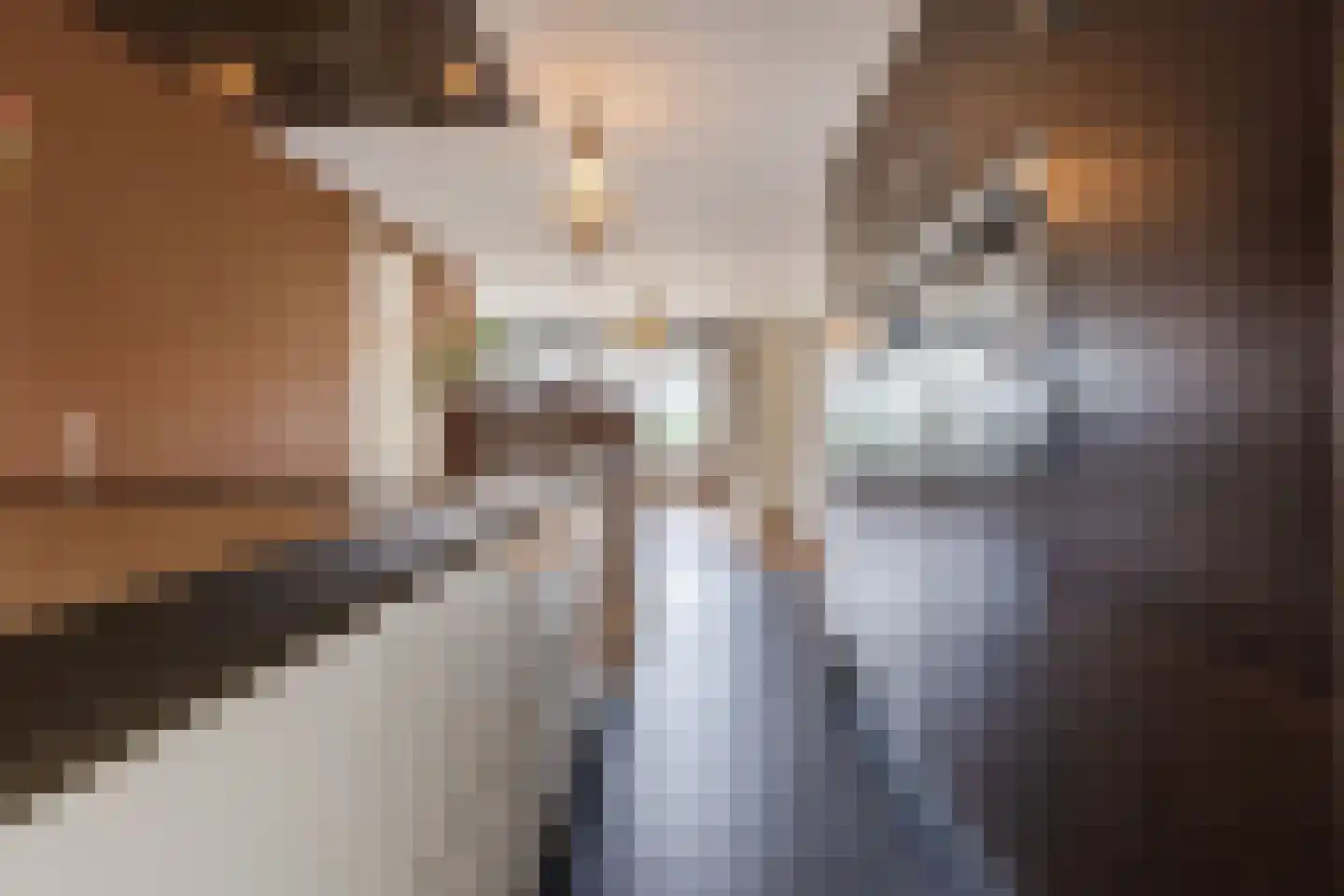 Koolhovenlaan 2 a Tilburg thumbnail 8