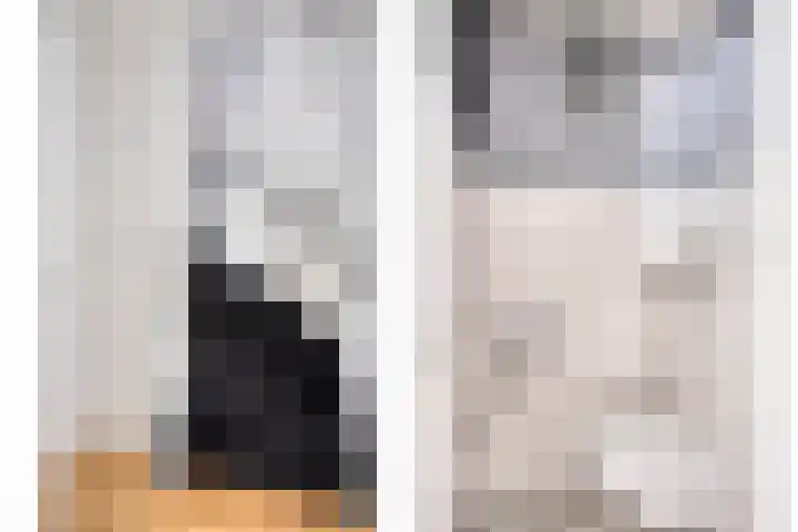Koolhovenlaan 21 Tilburg thumbnail 12
