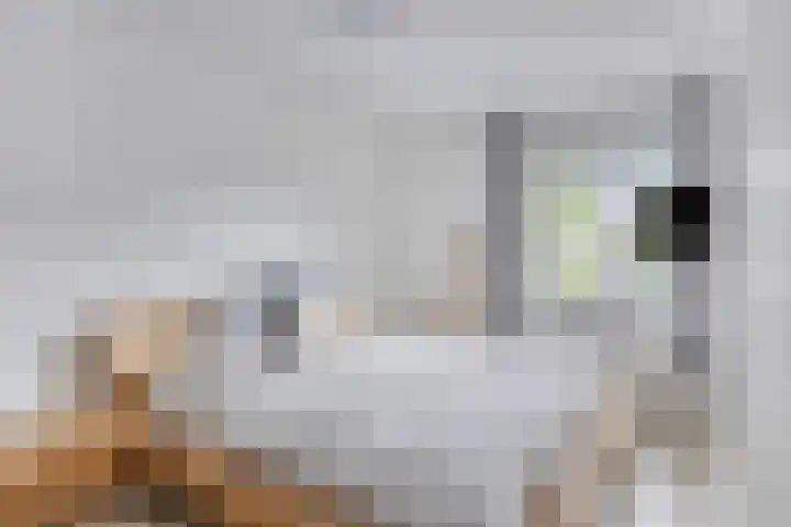 Koolhovenlaan 21 Tilburg thumbnail 13