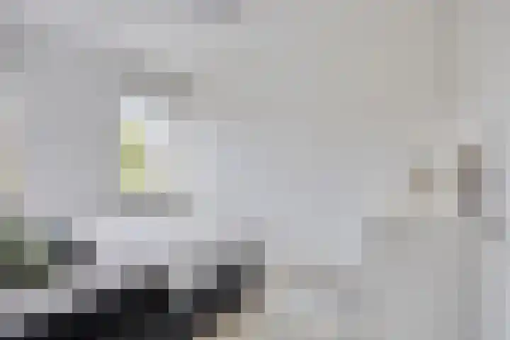 Koolhovenlaan 21 Tilburg thumbnail 17