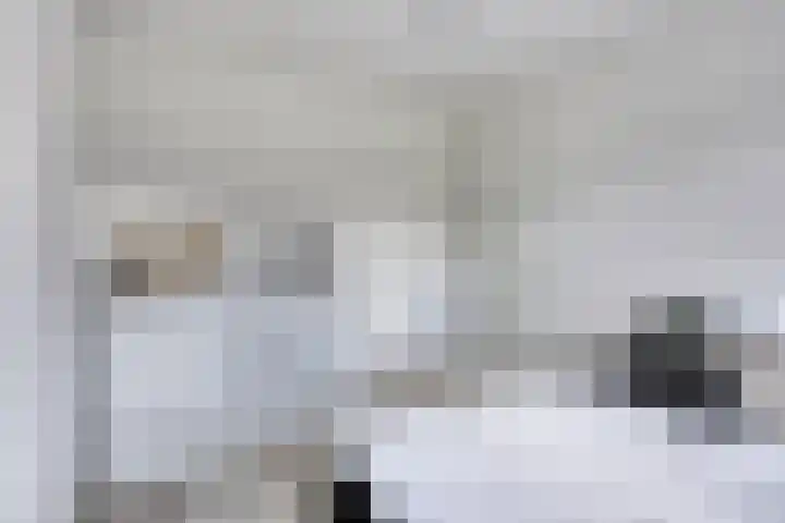 Koolhovenlaan 21 Tilburg thumbnail 18