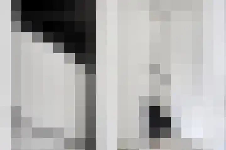 Koolhovenlaan 21 Tilburg thumbnail 21