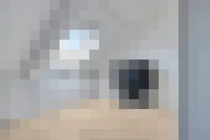Koolhovenlaan 21 Tilburg thumbnail 24