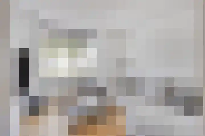 Koolhovenlaan 21 Tilburg thumbnail 5