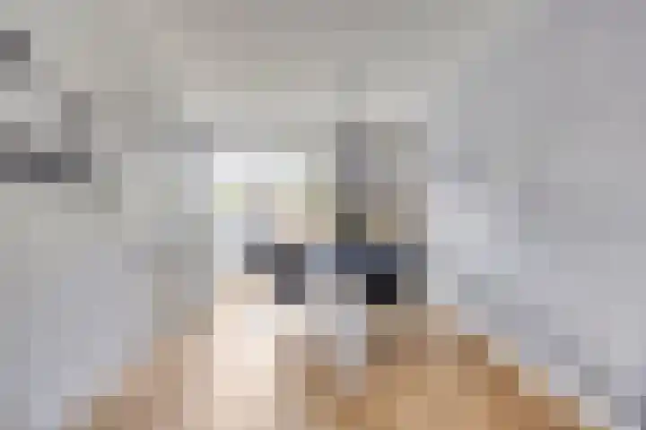 Koolhovenlaan 21 Tilburg thumbnail 7