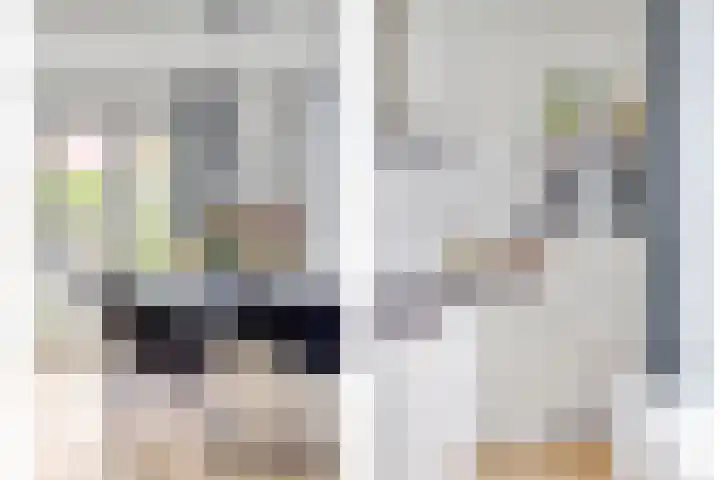 Koolhovenlaan 21 Tilburg thumbnail 8