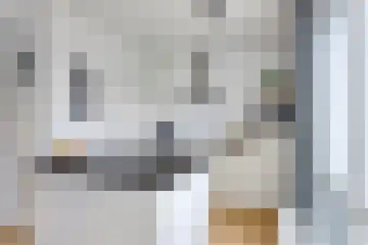 Koolhovenlaan 21 Tilburg thumbnail 9