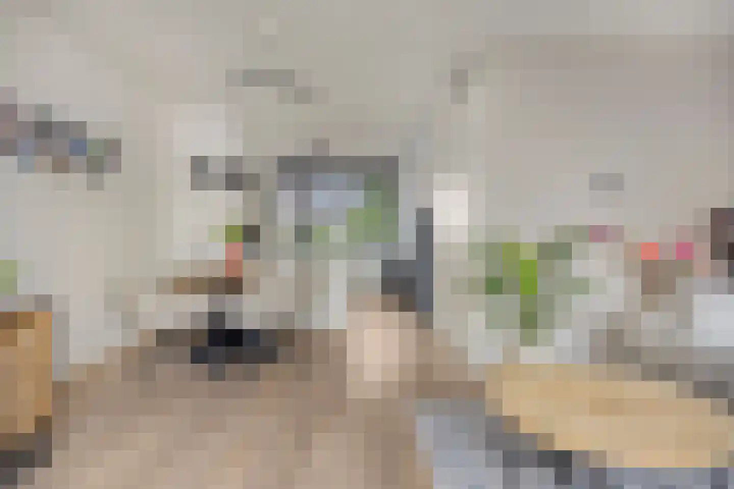 Koolhovenlaan 32 Tilburg thumbnail 11