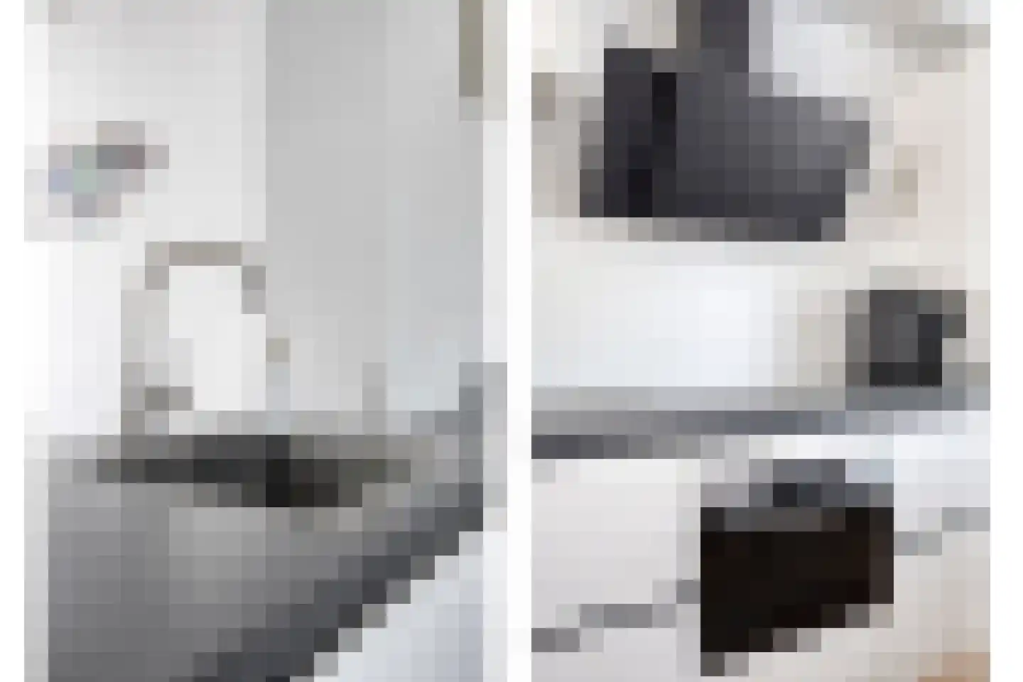 Koolhovenlaan 32 Tilburg thumbnail 17