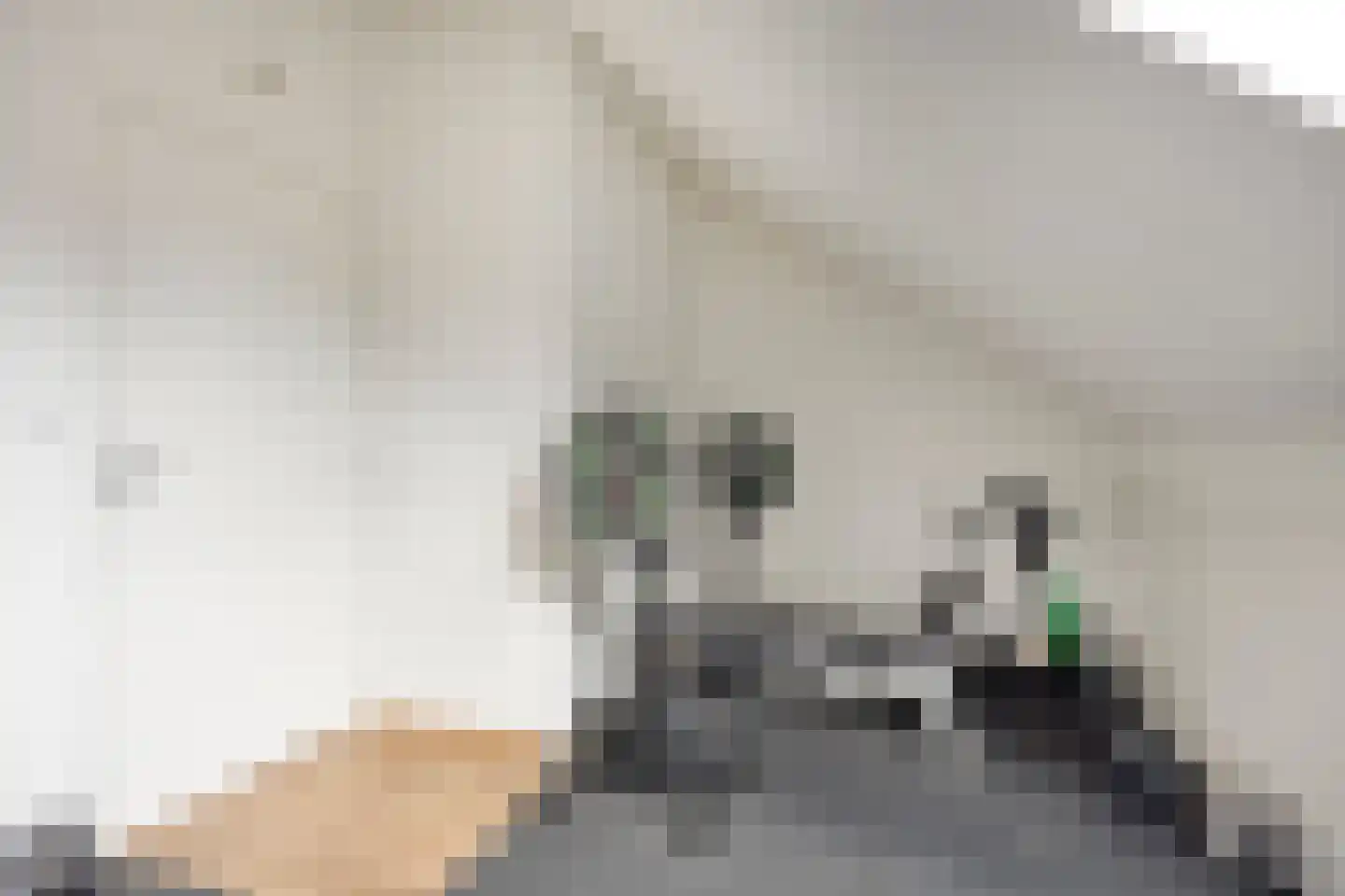 Koolhovenlaan 32 Tilburg thumbnail 32
