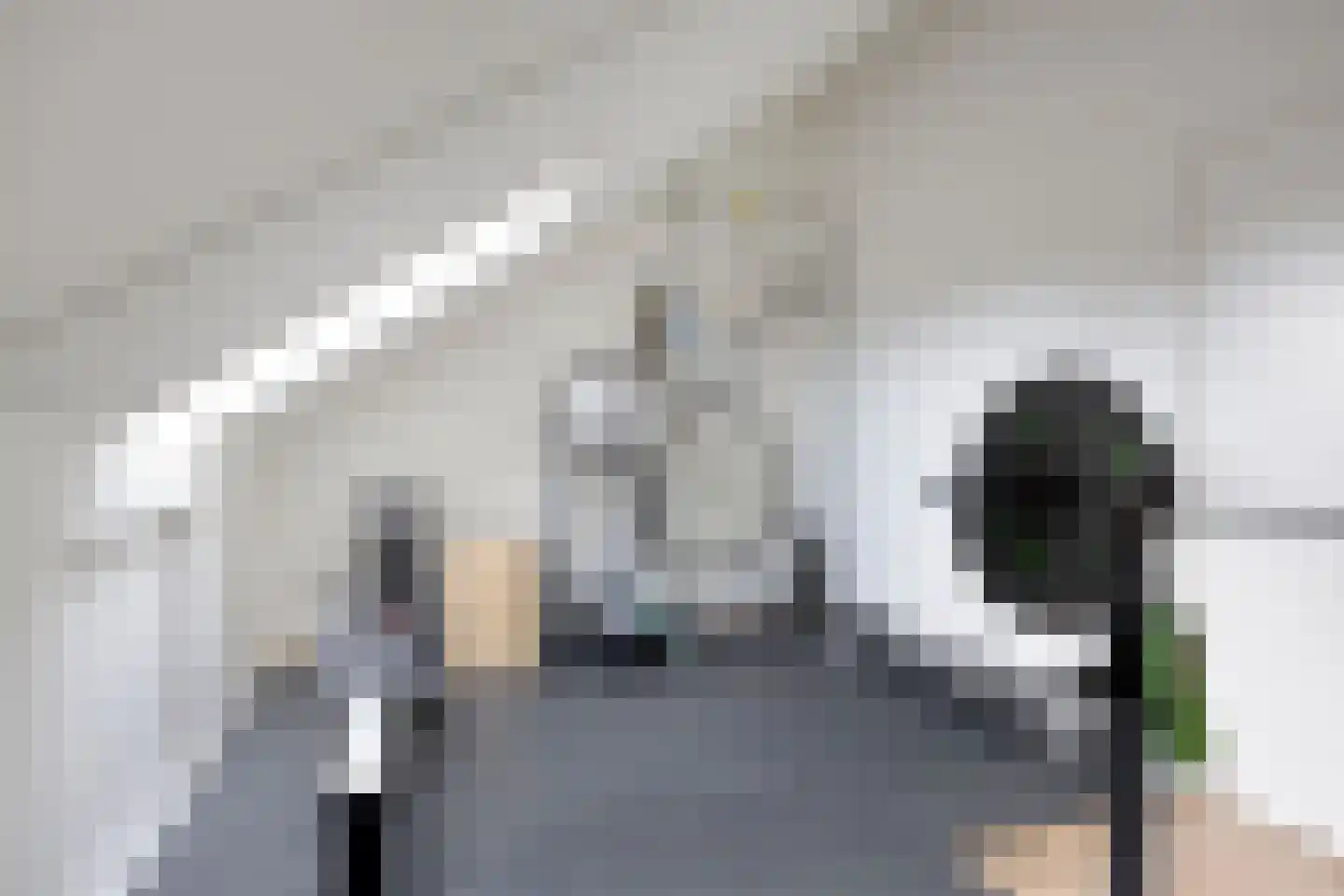 Koolhovenlaan 32 Tilburg thumbnail 33