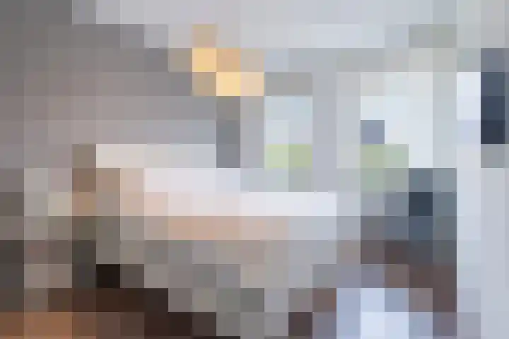 Koolhovenlaan 35 Tilburg thumbnail 12