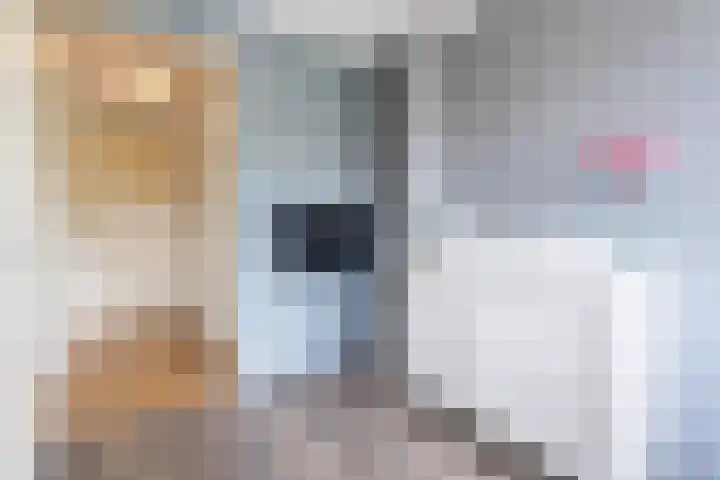 Koolhovenlaan 35 Tilburg thumbnail 17
