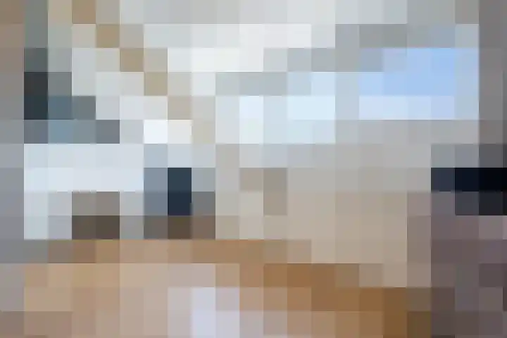Koolhovenlaan 35 Tilburg thumbnail 22