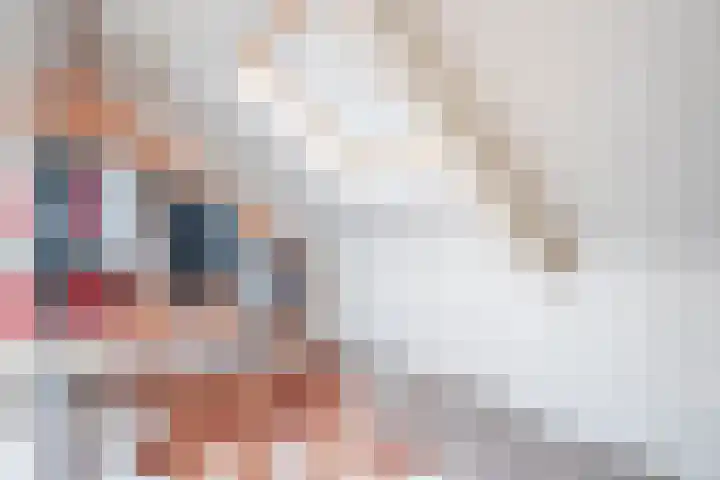 Koolhovenlaan 35 Tilburg thumbnail 23
