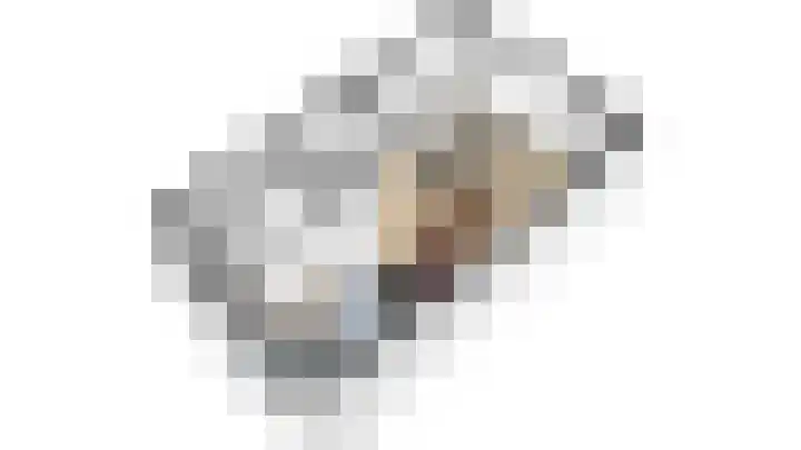 Koolhovenlaan 35 Tilburg thumbnail 37