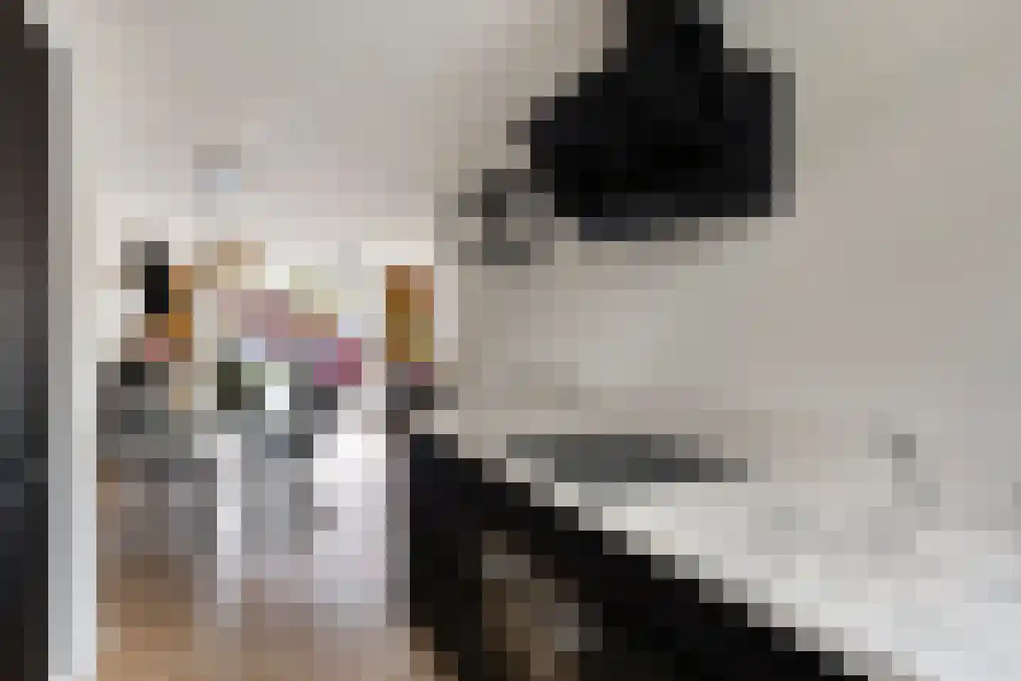 Koolhovenlaan 40 Den Haag thumbnail 10