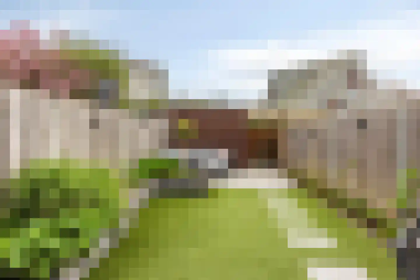 Koolhovenlaan 40 Den Haag thumbnail 12