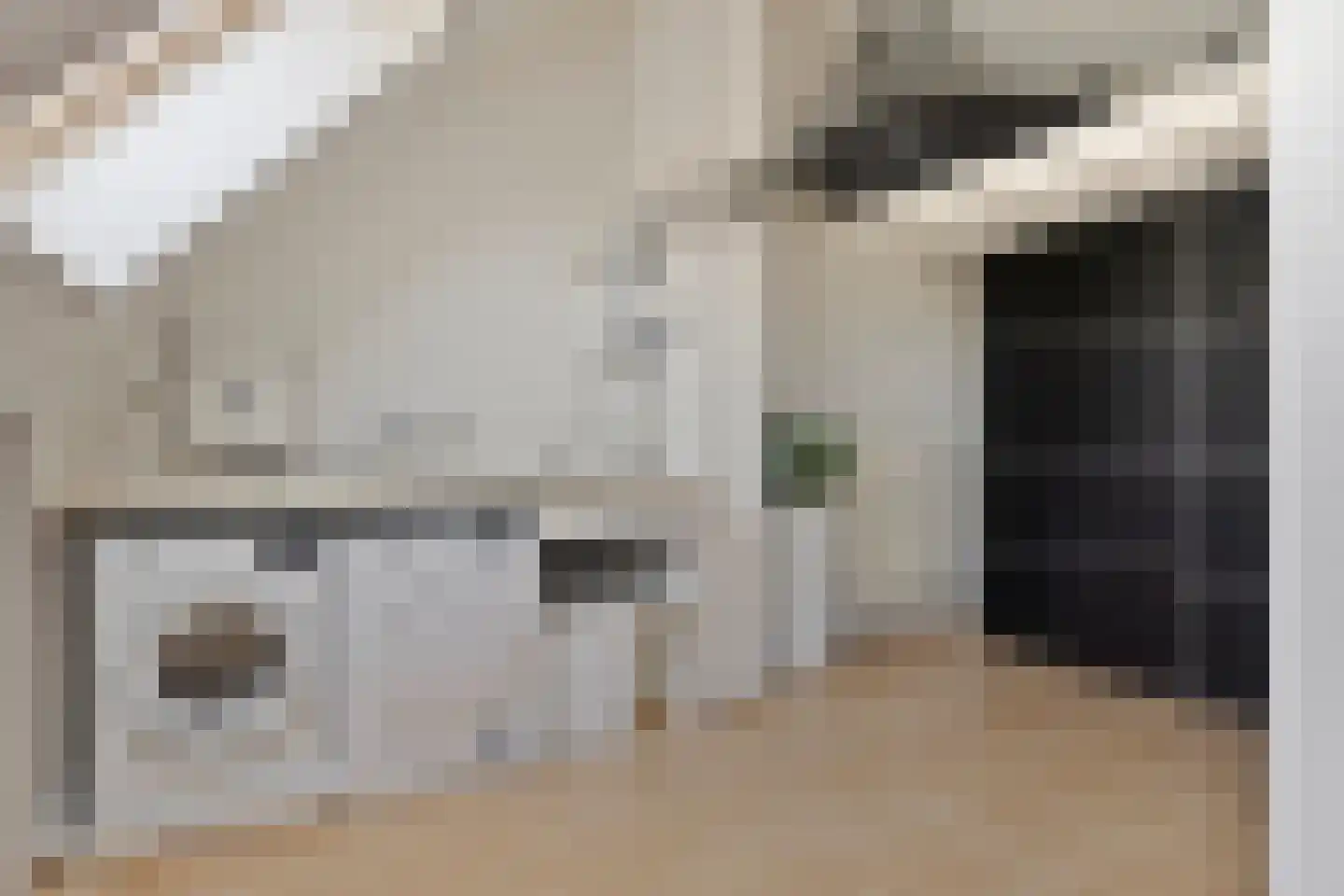 Koolhovenlaan 40 Den Haag thumbnail 28