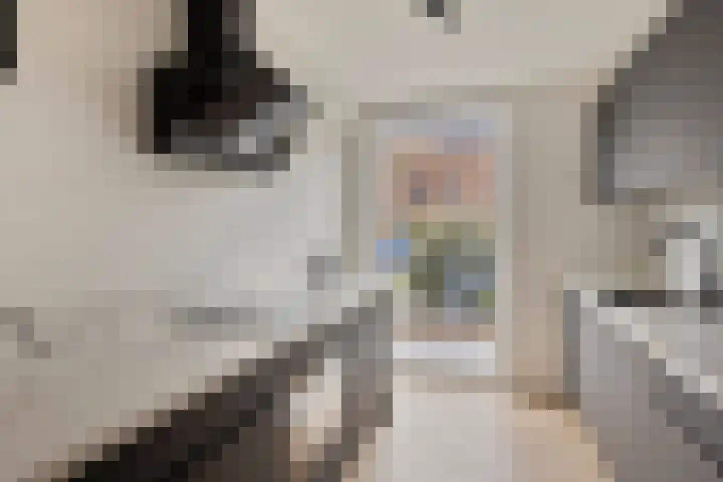 Koolhovenlaan 40 Den Haag thumbnail 9