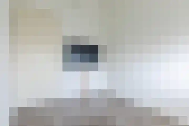 Koolhovenlaan 43 Tilburg thumbnail 23